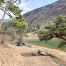 영월별마로펜션캠핑 이미지