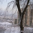구산제 이미지
