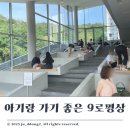푸른숲문화연구회 | 푸른수목원 근처 아기와 가기 좋은 서울대형카페 9로평상 후기