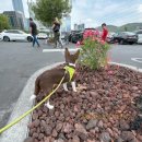 고기명가수라간 이미지