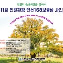 12월6일(금)~12월15일 인천의 비경을 찾아서 제11회 인천관광 168보물섬 사진전(추천서) 이미지