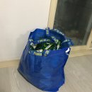 2019년 존버 하즈아!! 진짜 오랜만에 쓰는 일상 및 일기 (스압주의)