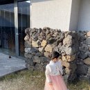 당근언니