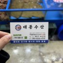 대풍초장집 | 잠실 가락시장 대방어회 맛집 대풍수산 횟집 가격 포장 초장집