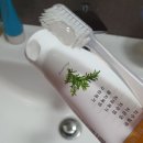 엔치약 잇몸케어, 편도결석 후기: 구강 건강 챙기는 법