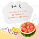 컴퓨터 활용능력 대비 2급 네이버블로그