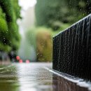 푸른향기 이미지