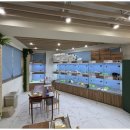 강아지와 고양이 이미지