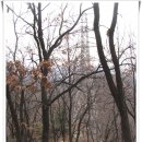[20080109]광명시 도덕산/구름산 연계산행을 다녀오다 - 2부