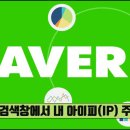 네이버 검색창에서 내 아이피(IP) 주소 확인 방법 이미지