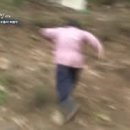 세이보리홀리데이