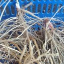 우슬농장 이미지