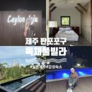 실론제주 이미지