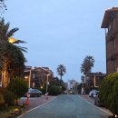 다인 앞 | 제주 애월 숙소 추천 다인리조트 디럭스 트윈 후기 (조식, 객실, 부대시설 총정리)