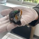 (주)바이오브레인 이미지