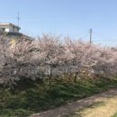 승월마을회관 이미지