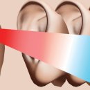 플라스틱 신화들 이미지