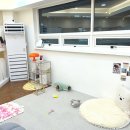 보니또따 이미지