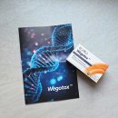 다윈약국 | 솔직후기 위고톡스 GLP유도제 복용법