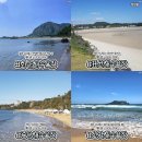 표선리-31 이미지