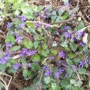 금사초등학교 이미지