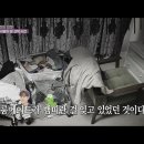 엣지피플 이미지
