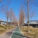 수영강 세월교 이미지