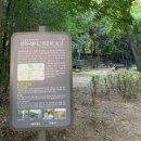 샘터농구장