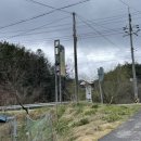 새금복식당 이미지