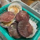 대하횟집 | 제부도 대하횟집 방문후기-제부도 맛집, 조개구이 맛집, 회 맛집, 제부도 대하회집 후기 주말여행