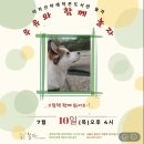 아차산아래작은도서관놀자 이미지