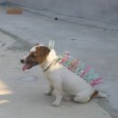 빨래대장 이미지