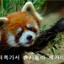 외대분식