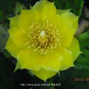 해송농장 이미지