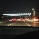 NH농협은행태백시지부 | 반려견·중대형견과 함께 가볼만한 곳 추천! 1박2일 속초 강릉 여행 기록일지 1일차