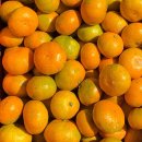 민우네농장 이미지