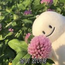 씨유정왕월드점 | 4월 일기·ᴗ· (1)