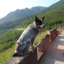 신세계 민박 이미지