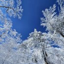 솔방울산악회 제29차 오대산 비로봉 설경산행 안내 이미지