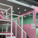 리틀치프 시화점 이미지
