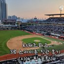 스카이존 | kt위즈파크 3루 스카이존 직관 후기(시야, 팁 포함)