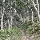 알봉 둘레길 이미지