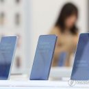 버즈약국 이미지