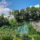 대동고등학교 이미지