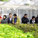 제부마리나.레저
