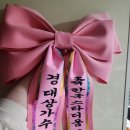 2024년 봄, 월간 세븐틴 과 미친 캐럿의 일기