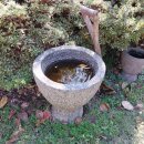 반구대팜스테이 이미지