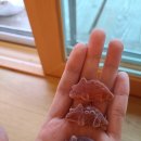 온리원스테이 이미지