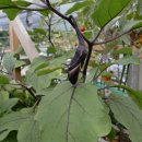 본촌주유소 이미지