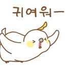 아이소포
